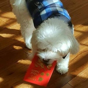 Meet your Posher, Thinh